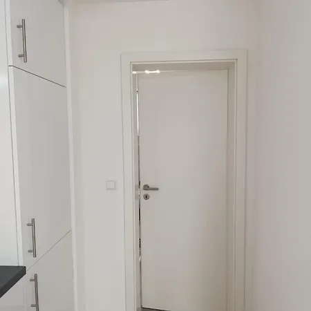 Mergel In Black Forest *